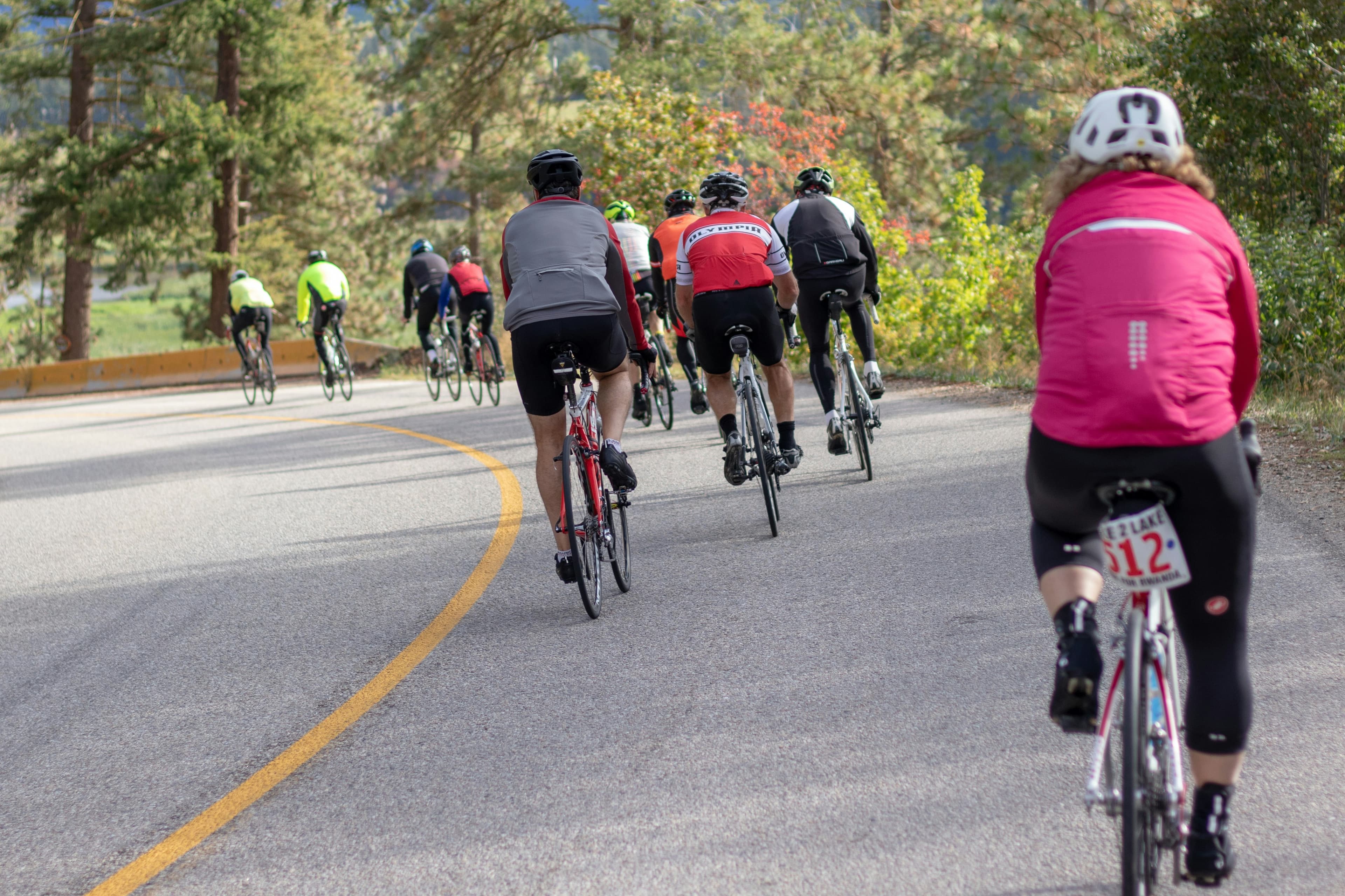 Group of road cyclists riding around a curving tree-lined road, seen from behind